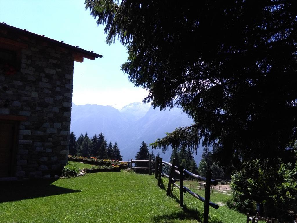 Agriturismo Valsaviore Cevo Exteriör bild